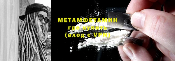 индика Нягань