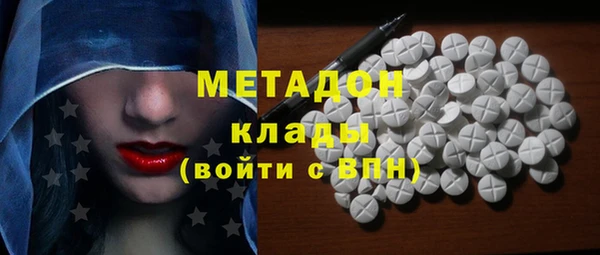 индика Нягань