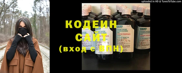 индика Нягань