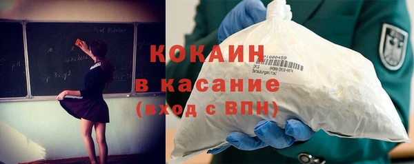 индика Нягань