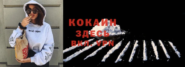 индика Нягань