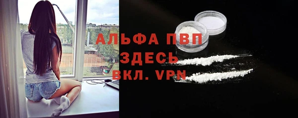 PSILOCYBIN Новодвинск