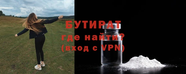 индика Нягань