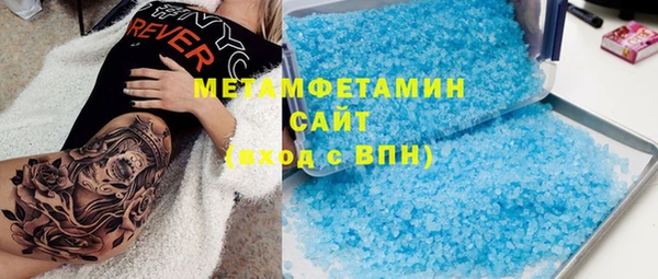 сатива Новокубанск